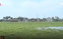 Tháo gỡ vướng mắc về giao đất nông nghiệp tại địa phương