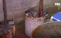 "Nổi gai ốc" với cảnh chế biến cua xay: Dùng xẻng xúc cát, trộn cả hóa chất như trộn... vữa