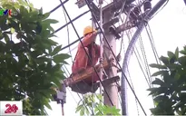 Đảm bảo an toàn điện tránh nguy hiểm mùa mưa bão