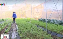 Mô hình khép kín trang trại - cửa hàng thực phẩm sạch