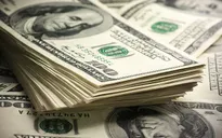 Các đại lý thu đổi ngoại tệ mua vào hơn 200 triệu USD/năm