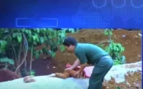 Lâm Đồng: Phát hiện nhiều đạn pháo lúc làm đường