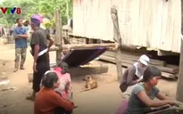 Khó loại trừ bệnh sốt rét: Trở ngại từ chính người dân
