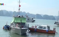 Quảng Ninh: Va chạm liên hoàn trên biển, tàu chở than bị chìm