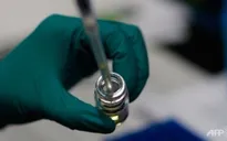 Vaccine sốt rét mới đạt hiệu quả tối ưu