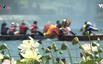 Lễ hội Hoa sen - Tôn vinh bản sắc văn hóa châu Á