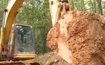 Khai thác vàng trái phép tại Bồng Miêu, Quảng Nam