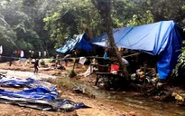 Quảng Nam: Truy quét hàng trăm "vàng tặc" ở mỏ vàng Bồng Miêu