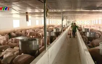 Cho vay vốn phải kết hợp với tư vấn việc làm