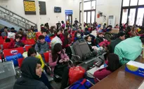 Người dân Lý Sơn háo hức về đảo đón Tết