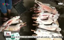 Chiêu thức biến thỏ thành đặc sản thịt cheo rừng ở khu du lịch Tam Đảo