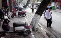 Người đi bộ vẫn thiếu lối đi trên vỉa hè