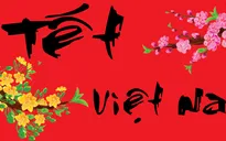 Cộng đồng người Việt tại Hà Lan mừng Xuân Đinh Dậu