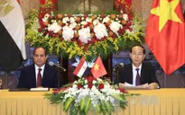 Chủ tịch nước Trần Đại Quang hội đàm với Tổng thống Ai Cập Abdel Fattah Al Sisi