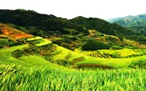Việt Nam tuyệt đẹp qua ống kính người nước ngoài