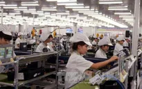 Thúc đẩy vai trò của khu vực kinh tế tư nhân