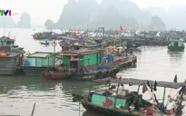 Gần 1.700 tỷ đồng phục dựng, bảo tồn văn hóa làng chài trên vịnh Hạ Long