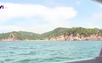 Đến Ninh Thuận ngắm san hô từ tàu đáy kính