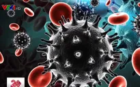 Hiểu đúng về con đường lây nhiễm HIV