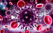 Tìm ra phân tử mới loại bỏ HIV ẩn giấu trong cơ thể