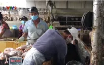 Cần Thơ: Chất nhúng để nhổ lông vịt là hóa chất bị cấm sử dụng