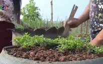 Thanh niên Việt Nam giúp thanh niên Lào phát triển kinh tế