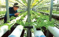 Long An province to build 4 high-tech agriculture zones