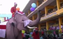 Voi trong trang phục ông già Noel phát quà cho các em nhỏ