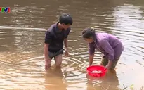 Thanh Hóa: Cá chết hàng loạt trên sông Âm nghi nguồn nước bị ô nhiễm