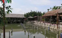 Hội An xử lý vi phạm tại rừng dừa Bảy Mẫu