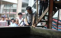 Phó Thủ tướng Vũ Đức Đam thị sát phòng dịch sốt xuất huyết tại Hà Nội