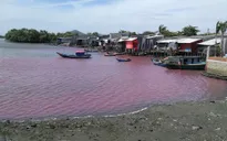 Bà Rịa - Vũng Tàu lo ngại hồ cấp nước sinh hoạt bị ô nhiễm