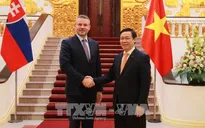 Hợp tác kinh tế - thương mại giữa Việt Nam và Slovakia phát triển ổn định