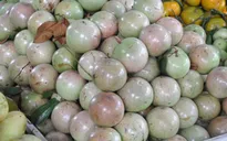 Vú sữa Việt Nam chính thức được xuất khẩu sang Mỹ
