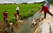 Đồng Tháp: Người dân vứt xác gia cầm bừa bãi ra kênh rạch