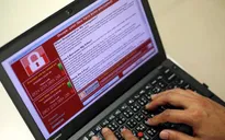 90% máy tính ở Việt Nam sử dụng phần mềm không bản quyền