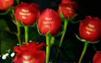 Người Mỹ có thể chi 18 tỷ USD dịp Valentine