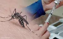 Philippines ngừng tiêm vaccine sốt xuất huyết Dengvaxia