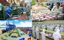 10 năm gia nhập WTO: Việt Nam đã phát triển mạnh mẽ hơn