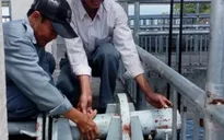 Nhiều lỗ hổng trong bảo vệ công trình thủy lợi