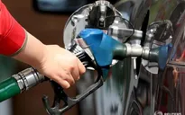 Bão Harvey tác động mạnh lên giá xăng dầu