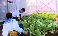 Chiêm ngưỡng những vườn rau xanh mướt ở Trường Sa