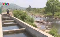 Đăk Lăk: Doanh nghiệp tự ý xây đập, ngăn suối để nuôi cá