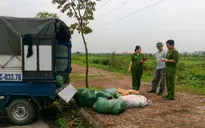 Thanh Hóa: Bắt xe chở nội tạng không rõ nguồn gốc