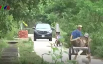Quảng Nam: Né trạm thu phí, xe ô tô "đổ bộ" qua đường làng