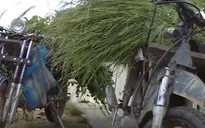 Khó khăn trong xử lý xe máy độ chế