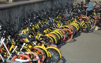 Mobike và Ofo lên kế hoạch sáp nhập dịch vụ xe đạp chia sẻ