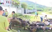 Bình Định: Tiêu hủy 32 xe máy độ chế chở gỗ lậu của lâm tặc
