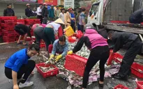 Hà Tĩnh: 2 tấn cá đổ giữa đường, người dân ra gom giúp tài xế