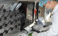 Hà Nội: Xây dựng hệ thống cảnh báo nhanh ATTP